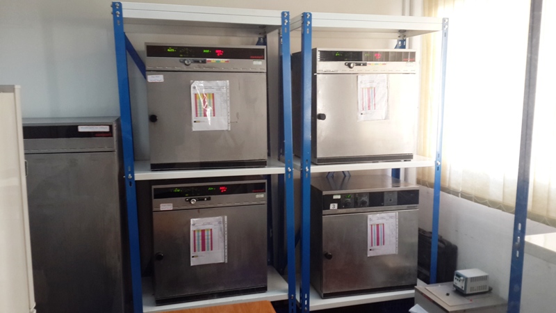 Storage 3
